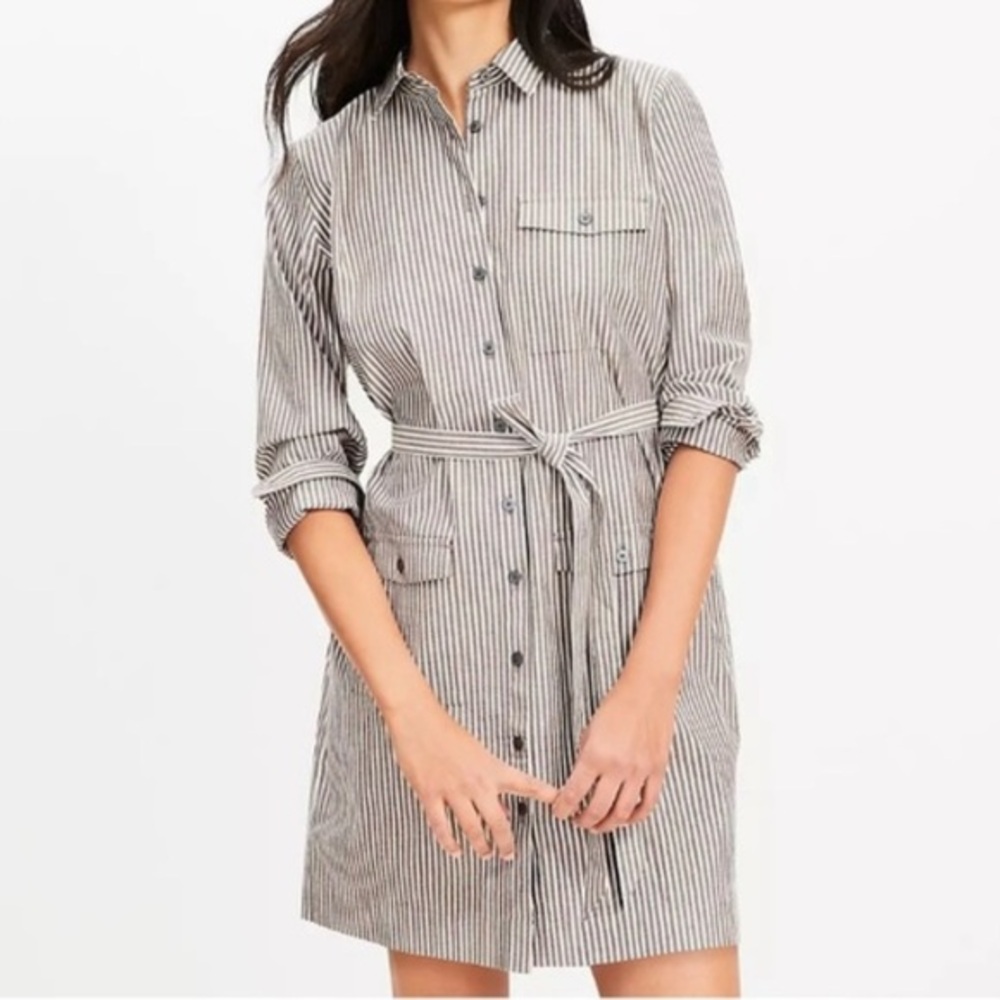 LOFT Brown & White Striped Cotton Button-Down Dress